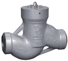 Power Plant Check Valve
