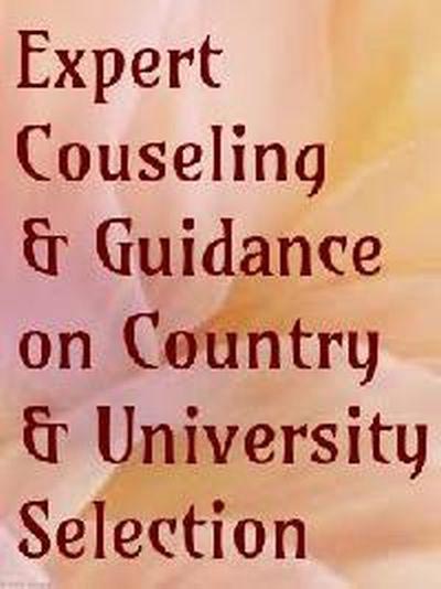 Overseas Education Consultants