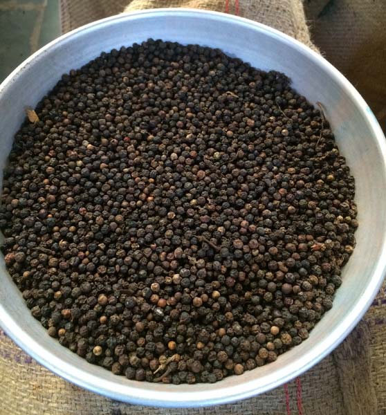 Black pepper