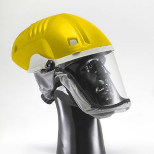 Face Shield Fitted Dust Masks