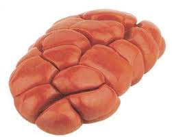 Frozen Buffalo Kidney, for Hotel, Restaurant, Feature : Delicious Taste, Healthy To Eat