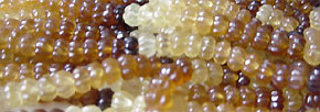 Carved hessonite Gemstone beads