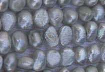 Pearls Beads - KCP-004
