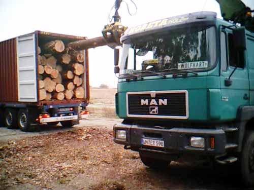PW-007 Pine Wood Logs