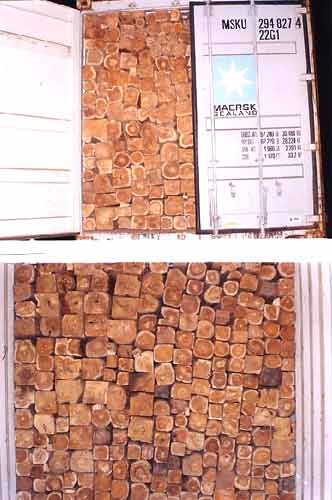 TW-007 Ghana Teak Wood Log