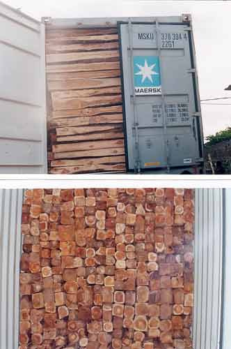 TW-008 Ghana Teak Wood Log