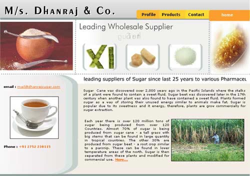 Website Development Services   Dhanraj