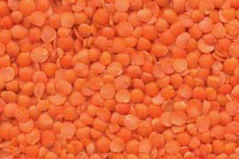 red split lentils