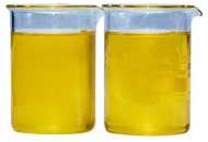 Refined Fish Oil