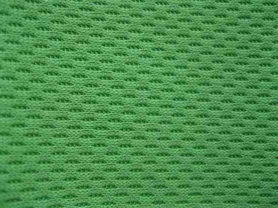 Polyester Mesh Fabric