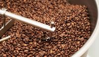 coffee seed roaster