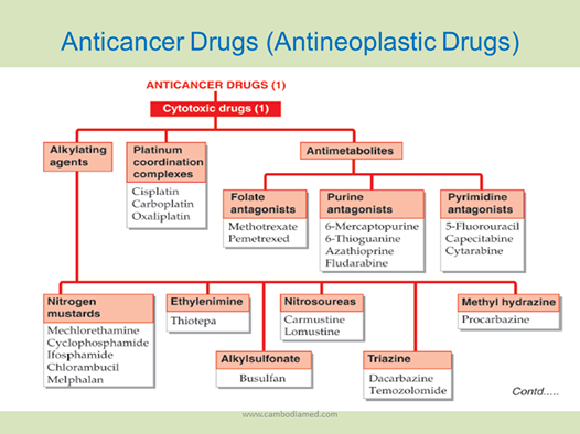 Classification Of Anticancer Or Antineoplastic Agents Medicinal | My ...