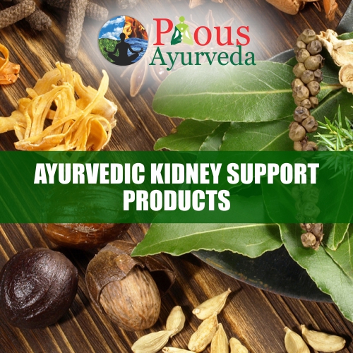 Ayurvedic Products for Kidney Support