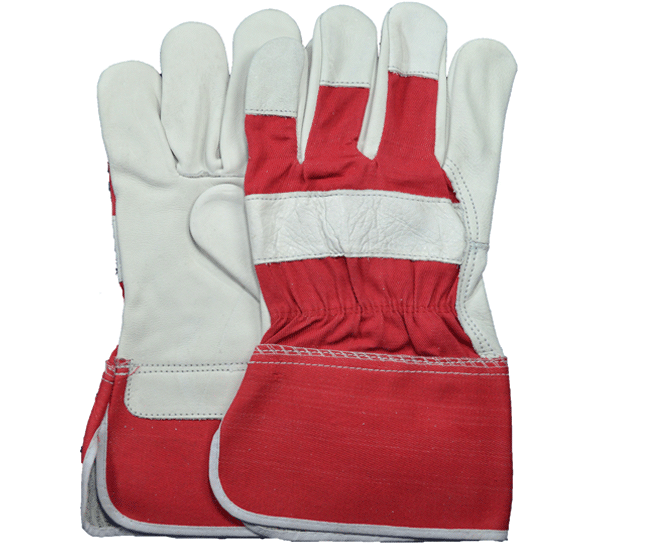 Canadian Gloves Masood Alam & Co., Kolkata, West Bengal