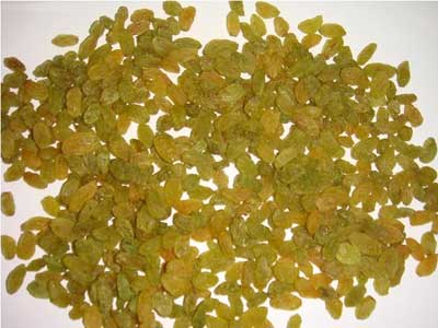 Aditya - Green Fine Quality Green Raisins