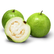 Fresh guava, Shelf Life : 3-5 Days