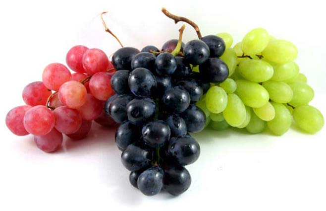 Fresh Grapes