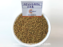 Fenugreek Seeds