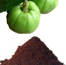 Garcinia Powder- Garcinia Cambogia