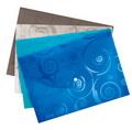 File Folder -Clear Bags