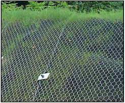 Stainless Steel Wire Mesh 005