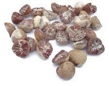 Areca Nuts
