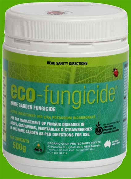 organic fungicide