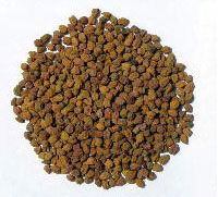 Black Chickpeas