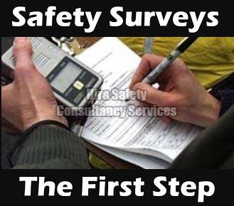 Safety Survey Services