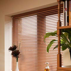 Vertical Window Blinds