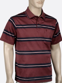 Men\'s Striped Short-sleeve T Shirts