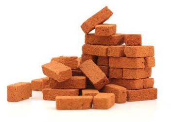 Construction Bricks