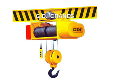 electric wire rope hoist