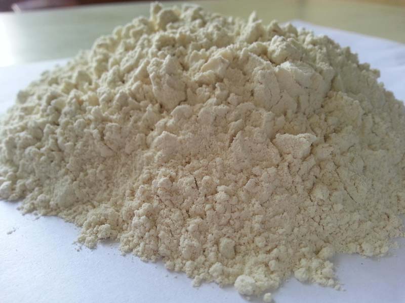 Dehydrated White Onion Powder