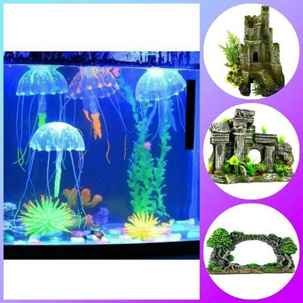 Aquarium Decorations Manufacturer In Pune Maharashtra India By