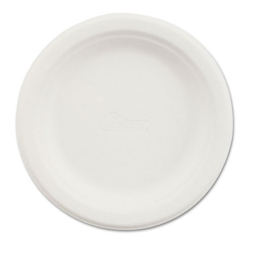 6 Inch disposable plate