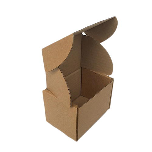 Die Cut Corrugated Box / Trays