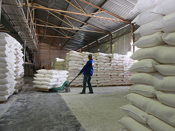 Wheat Flour Mill by Finance Exim Group LLC, Wheat Flour Mill, USD 200 /  Metric Ton ( Approx ) | ID - 2141620
