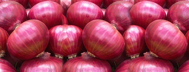 Oval-Round Organic red onion, for Enhance The Flavour, Human Consumption, Size : Large, Medium, Small