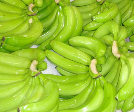 fresh cavendish banana