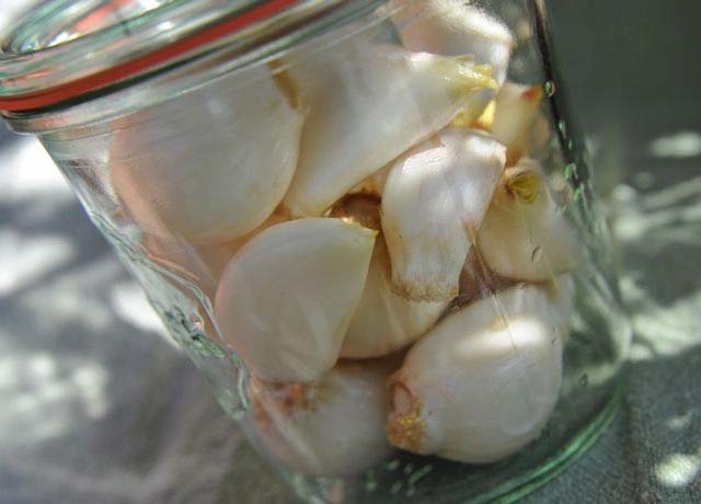 Frozen Garlic