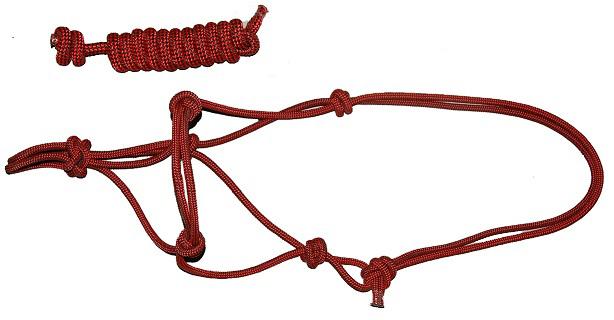 Rope Halter