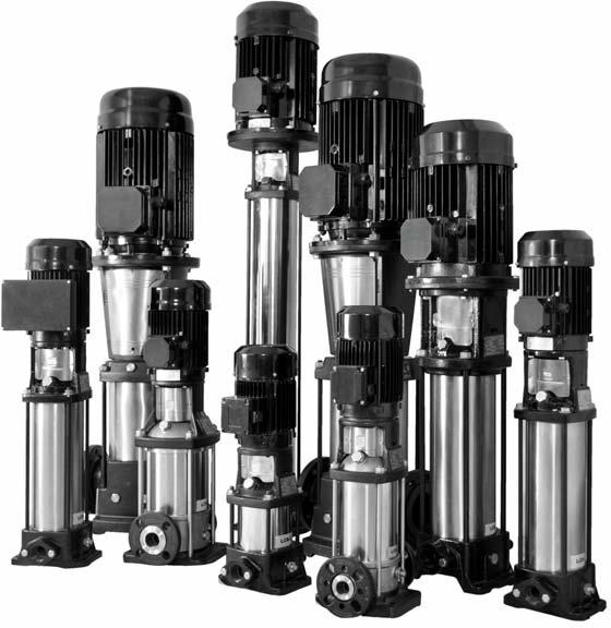 vertical multistage pump