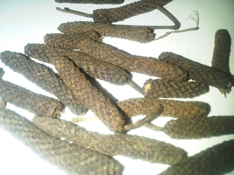 long pepper