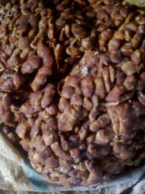 tamarind