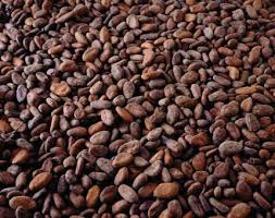 Cocoa Beans, for Bakery Products, Packaging Type : 10kg, 15kg, 20kg, 5kg