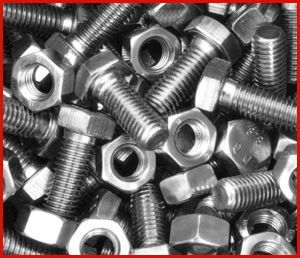 Stainless Steel Bolts