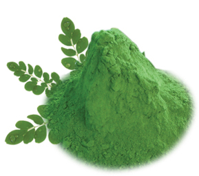 Tamil Masala Moringa Powder, Packaging Type : 50g, 100g, 200g