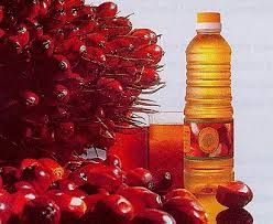 100% BEST CRUDE PALM OIL