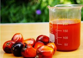 WE SUPPLY PALM OIL CRUDE